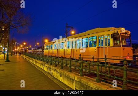 The tram on Jane Haining embankment against Elisabeth Bridge in evening lights, Budapest, Hungary Stock Photo