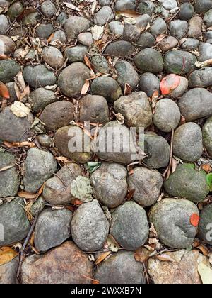 Floor texture of rounded stones, dry leaves and twigs Stock Photo