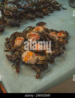 Balikpapan, Indonesia - March 15th, 2024. these raw seafood are easy to find in this market. Stock Photo