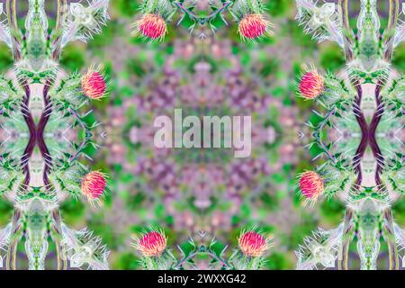 "Kaleidoscope of resilience: A single thistle blooms amidst a mesmerizing array of colors and patterns, showcasing the enduring beauty found in nature Stock Photo