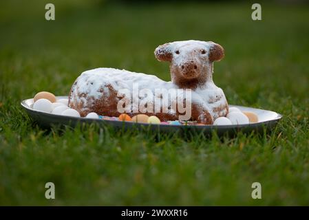 A cake dusted with icing sugar shows an Easter lamb surrounded by eggs on a plate, Germany Stock Photo