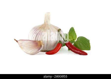 Whole garlic bulb with garlic cloves close to two red chili peppers and a sprig of basil leaves isolated on white background Stock Photo