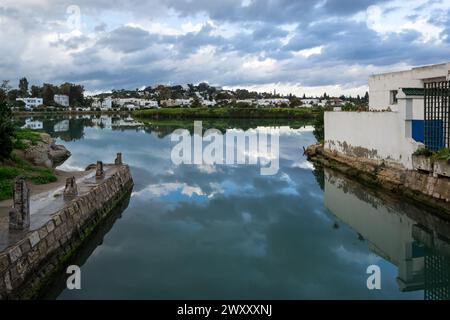 View of the port of Sidi Bou Said, a picturesque town and popular tourist attraction situated approximately 20 km northeast of the capital city, Tunis Stock Photo