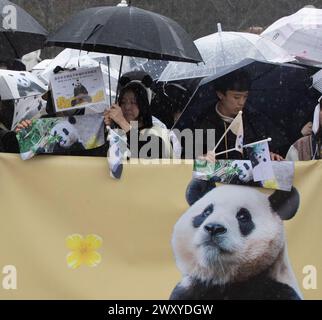 Yongin, South Korea. 3rd Apr, 2024. People bid farewell to giant panda ...