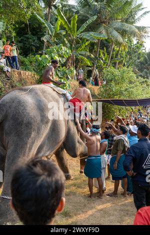 Mattathur, 27, March 2024: Dever temple festival celebration, elephant ...