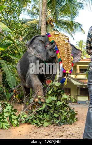 Mattathur, 27, March 2024: Dever temple festival celebration, elephant ...