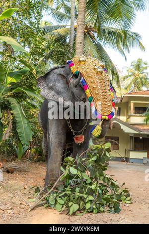 Mattathur, 27, March 2024: Dever temple festival celebration, elephant ...