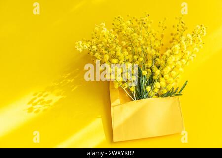 Top view of bunch of vibrant Mimosa flowers placed in a yellow paper envelope, casting a soft shadow on a sunny yellow backdrop. Stock Photo