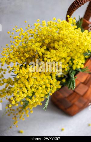 From above vibrant bouquet of bright yellow mimosa flowers presented in a traditional wicker basket on a neutral background. Stock Photo