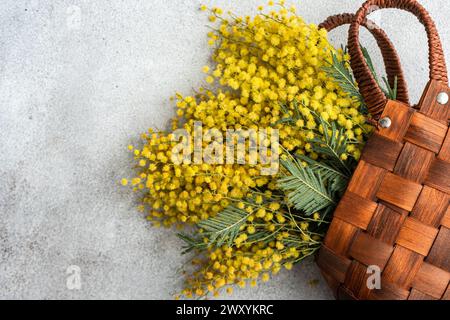 Top view of woven wooden basket overflowing with bright yellow mimosa blossoms placed on a gray concrete surface. Stock Photo