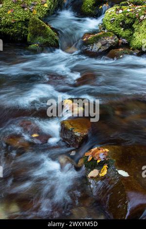 Mountain Rocks Strream Mountain stream flowing over moss covered rocks and fallen logs ...