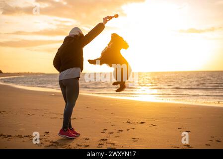 Woman playing with a joyful dog on a sandy beach during a golden sunset Stock Photo