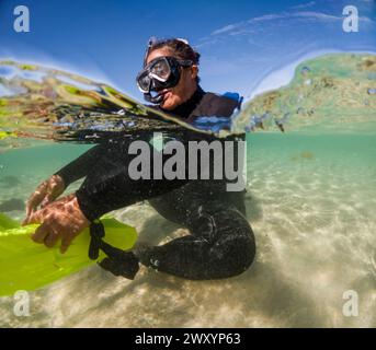 An adventurous snorkeler in a wetsuit is half-submerged in crystal clear waters, with sunlight dancing across the sandy bottom Stock Photo