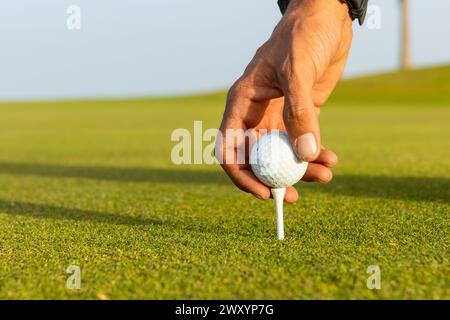 Cropped unrecognizable unique golfer hand prepared to begin a golf session, placing the ball on the tee against a vibrant green course backdrop. Stock Photo