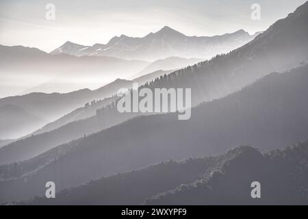 Ethereal mist blankets the layered mountain ridges of Picos de Europa National Park, creating a serene monochrome landscape. Stock Photo