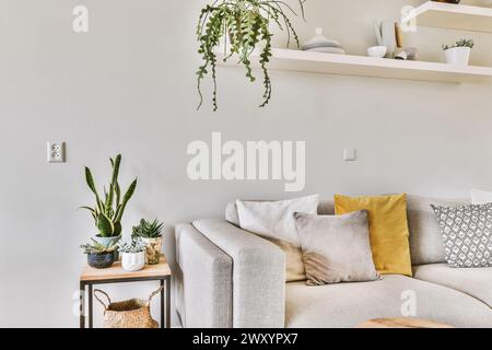 A cozy corner in a living room featuring a modern gray sofa adorned with stylish pillows, indoor plants, and wall shelves with decor. Stock Photo