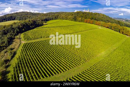 Srebrna Gora Vineyard, Bielany, Krakow, Poland Stock Photo