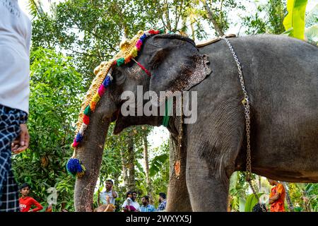 Mattathur, 27, March 2024: Dever temple festival celebration, elephant ...