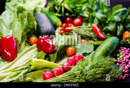 Vegetables harvested from the garden: peppers, cucumber, lettuce, radishes, tomato Stock Photo