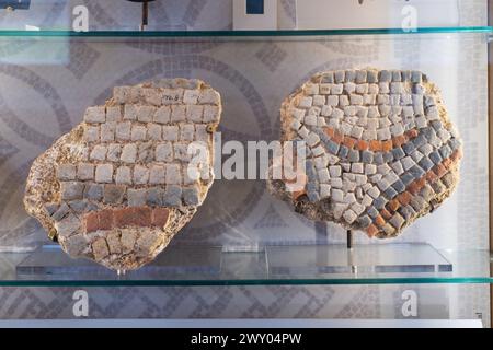 Mosaic flooring detail in Chedworth Roman Villa museum, UK. The whites, blue and greys are local Cotswold stone, but the red is made from cut tiles Stock Photo