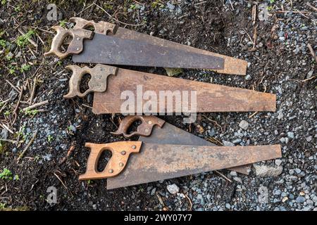 Old handsaws for sale at the final closing sale of an old agricultural engineering company in mid Wales, UK Stock Photo