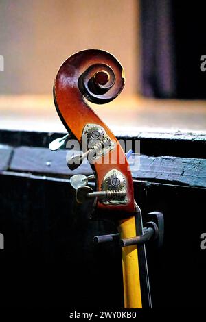 image of a double bass neck sticking out of the orchestra pit near the stage Stock Photo