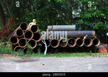 Junked storm drain pipes with a dog relaxing on them : (pix Sanjiv Shukla) Stock Photo