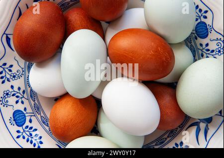 Fresh blue, brown and white eggs in a blue and white china bowl Stock Photo