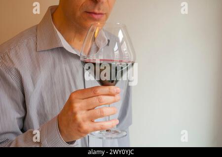 Wine taster smelling a glass of red wine. Stock Photo