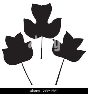 Tulip poplar or tulip tree leaf silhouettes, vector botanical illustration. Large broad Liriodendron tulipifera leaves. Stock Vector