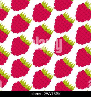 Raspberry seamless vector pattern. Fruits and berries background. Raspberry pattern on white background, Stock Vector