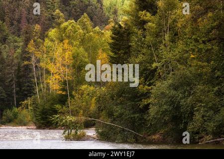 Beautiful northern landscape with river and forest Stock Photo