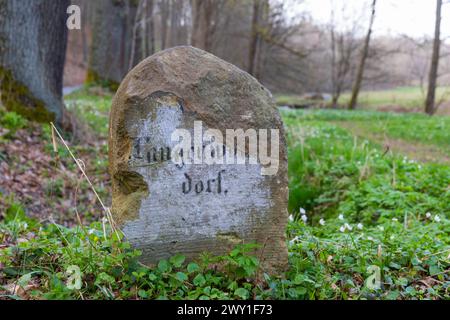 The Polenz is the right-hand, smaller source river of the Lachsbach in ...