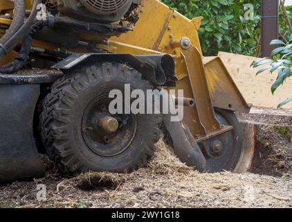 Stump grinder for tree stump removal, Tutzing, Bavaria, Germany Stock Photo