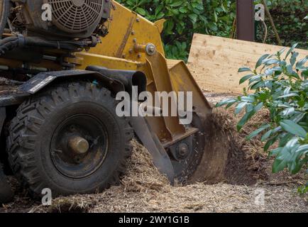 Stump grinder for tree stump removal, Tutzing, Bavaria, Germany Stock Photo