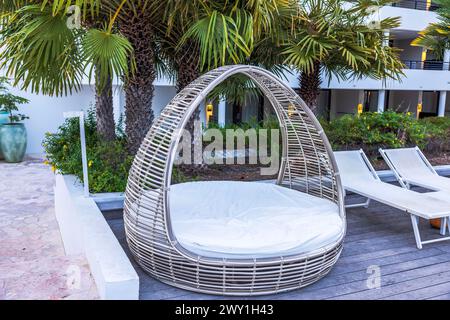 Close-up view of a cozy basket-style wicker lounger nestled under palm trees near an outdoor hotel pool. Curacao. Stock Photo