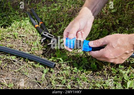 Installation of watering system from HDPE pipes, two parts of water supply are connected by coupling fitting with compression clamp on thread. Stock Photo