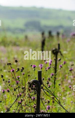 The site of Maginot line named Villy La Ferte has two blocks and is  30 meter deep. All the the soldiers died there. |  Le fort de Villy La Ferte est Stock Photo