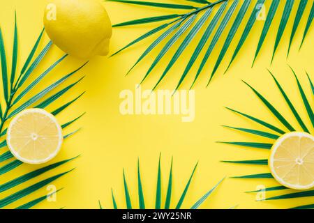 Creative trendy summer composition made with lemons and tropical green palm leaves on bright yellow background. Fruit minimal concept. Exotic nature. Stock Photo
