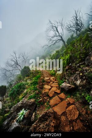 PR1 trail,  Pico do Arierio To Pico Ruivo Hike, On Madeira Island, Portugal, Europe Stock Photo