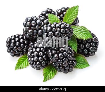Backberries and blackberry leaves isolated on white background. Stock Photo