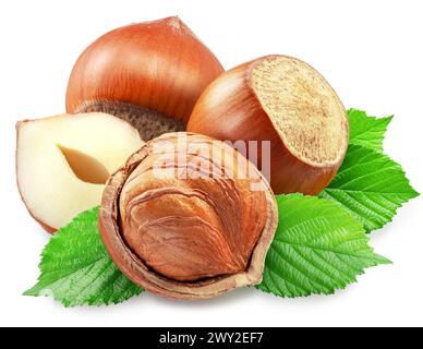 Hazelnuts, hazelnut kernel and green leaves on white background. Clipping path. Stock Photo