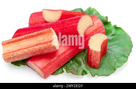 Red rhubarb stems' cuts over rhubarb leaves isolated on white background. Stock Photo