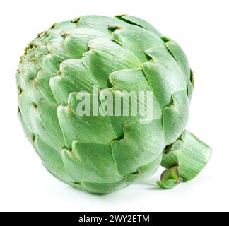 Fresh green artichoke isolated on white background. Stock Photo