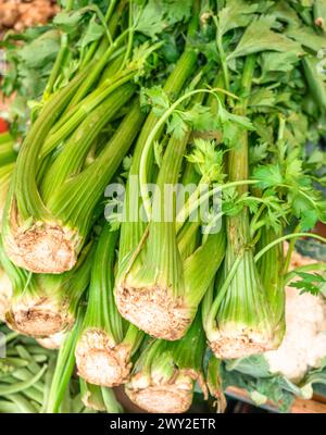 Green fresh celery stalks on the farm market stall. Close up. Stock Photo