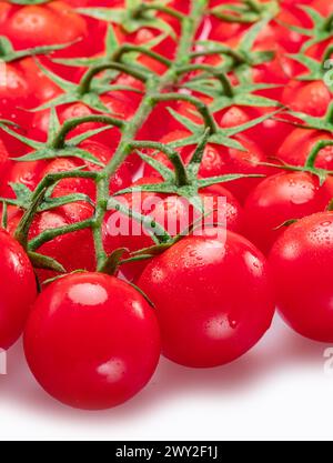Lot of red cherry tomato branches covered with small water drops isolated on white background. Stock Photo