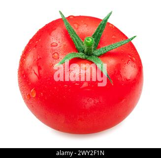 Freshly washed red tomato covered with water drops on white background. Stock Photo