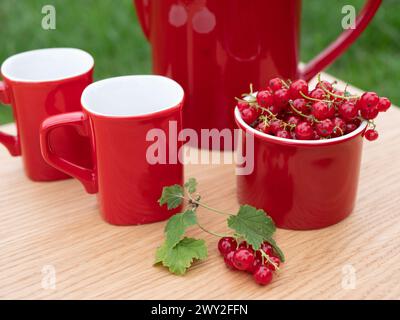 Set of bright ceramic tableware and red currant on the wooden table outdoors, selective focus. Concept of summer picnic or time for a snack Stock Photo