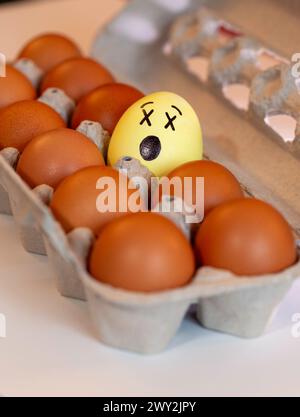 Still life of dozen brown eggs in a carton with one Knocked out Emoji Yellow  egg, 2024, USA Stock Photo