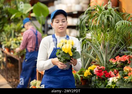 Young female seller holding begonia in pot Stock Photo